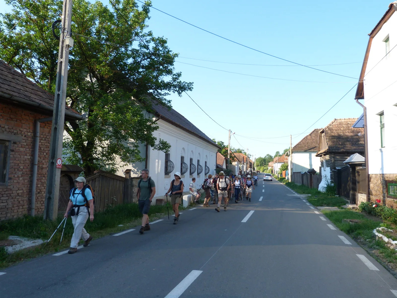 Randonnées dans les monts Apuseni