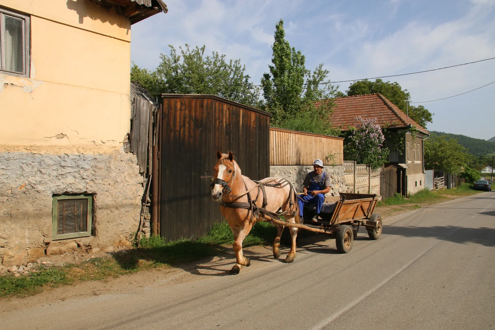 Randonnées dans les monts Apuseni