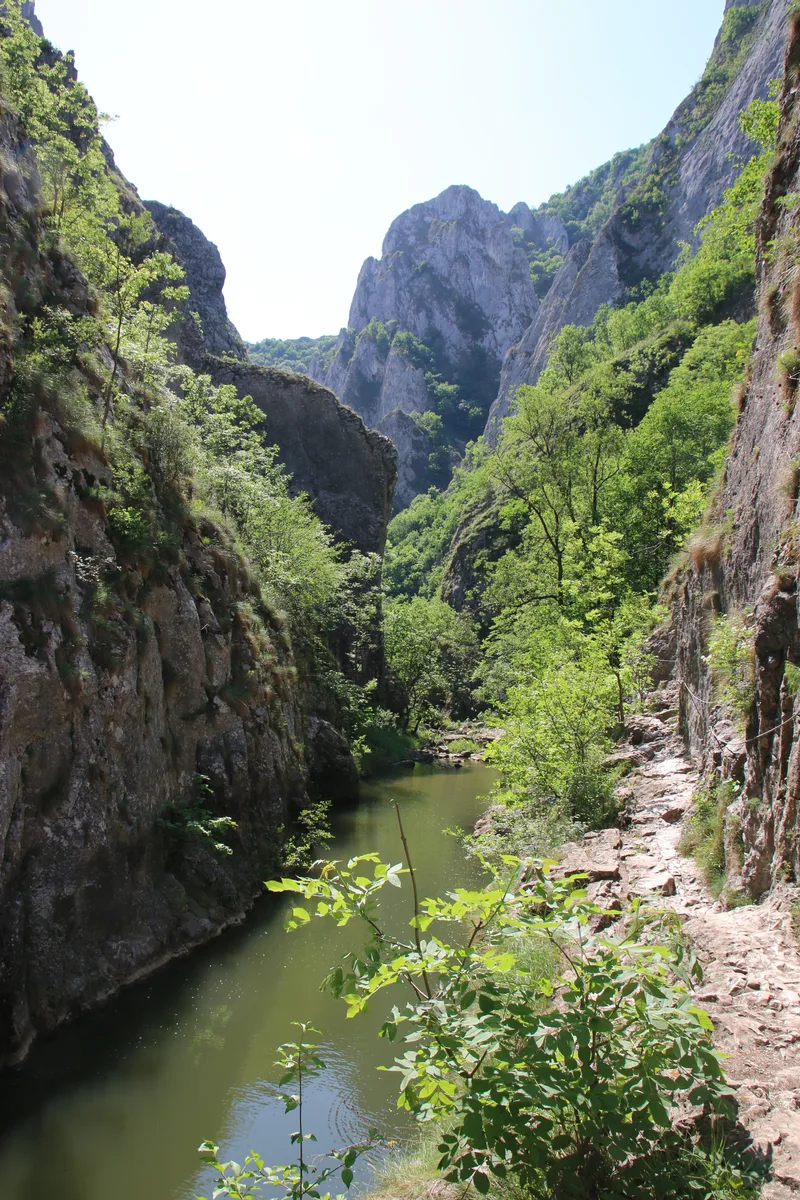 Randonnées dans les monts Apuseni