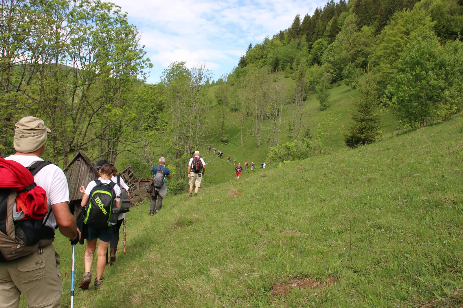 Randonnées dans les monts Apuseni