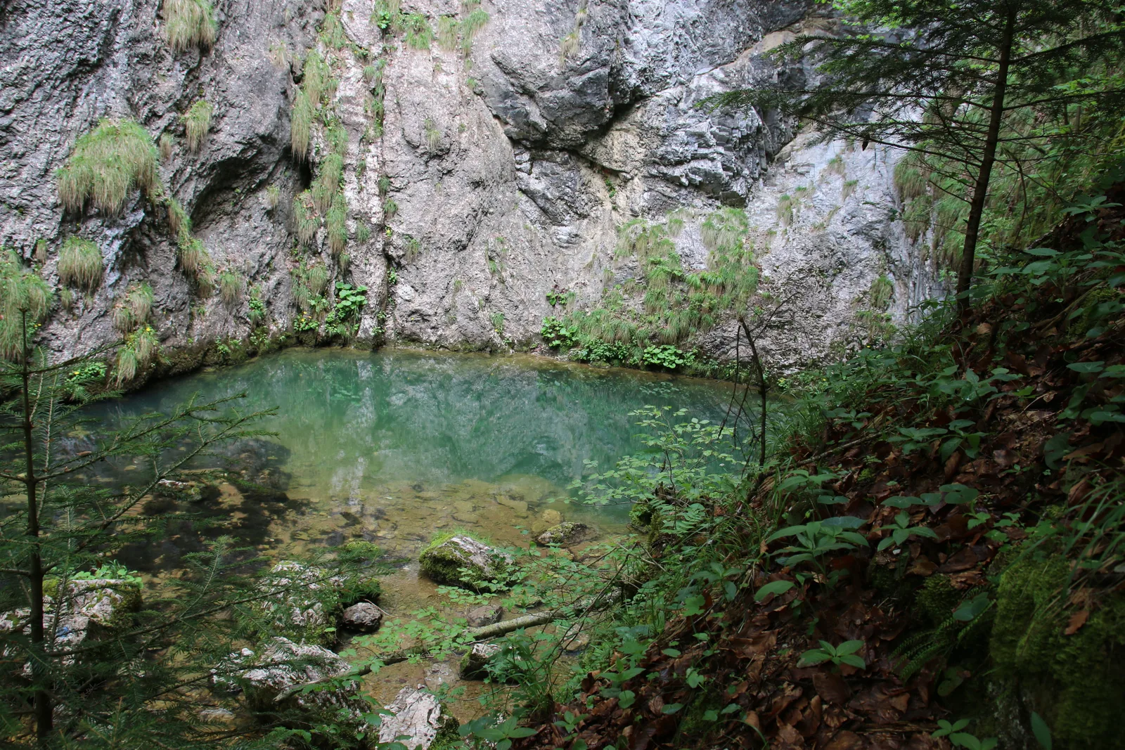 Randonnées dans les monts Apuseni