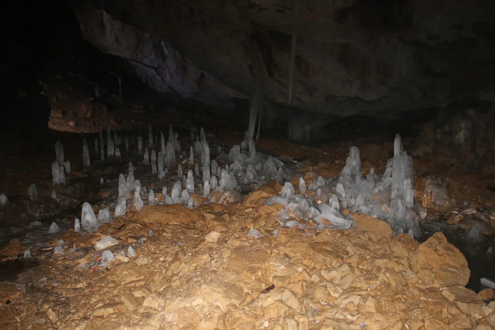 Randonnées dans les monts Apuseni