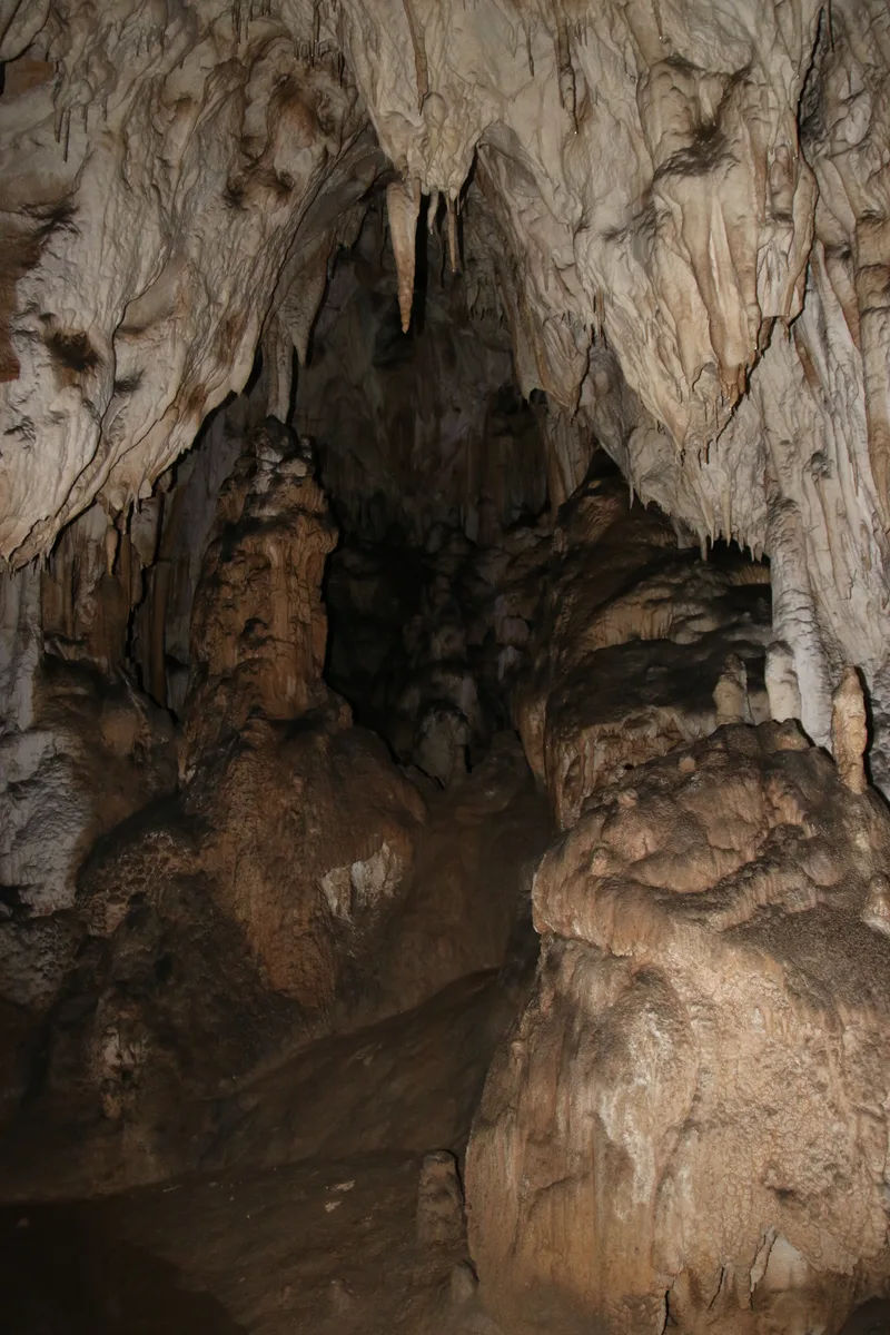 Randonnées dans les monts Apuseni