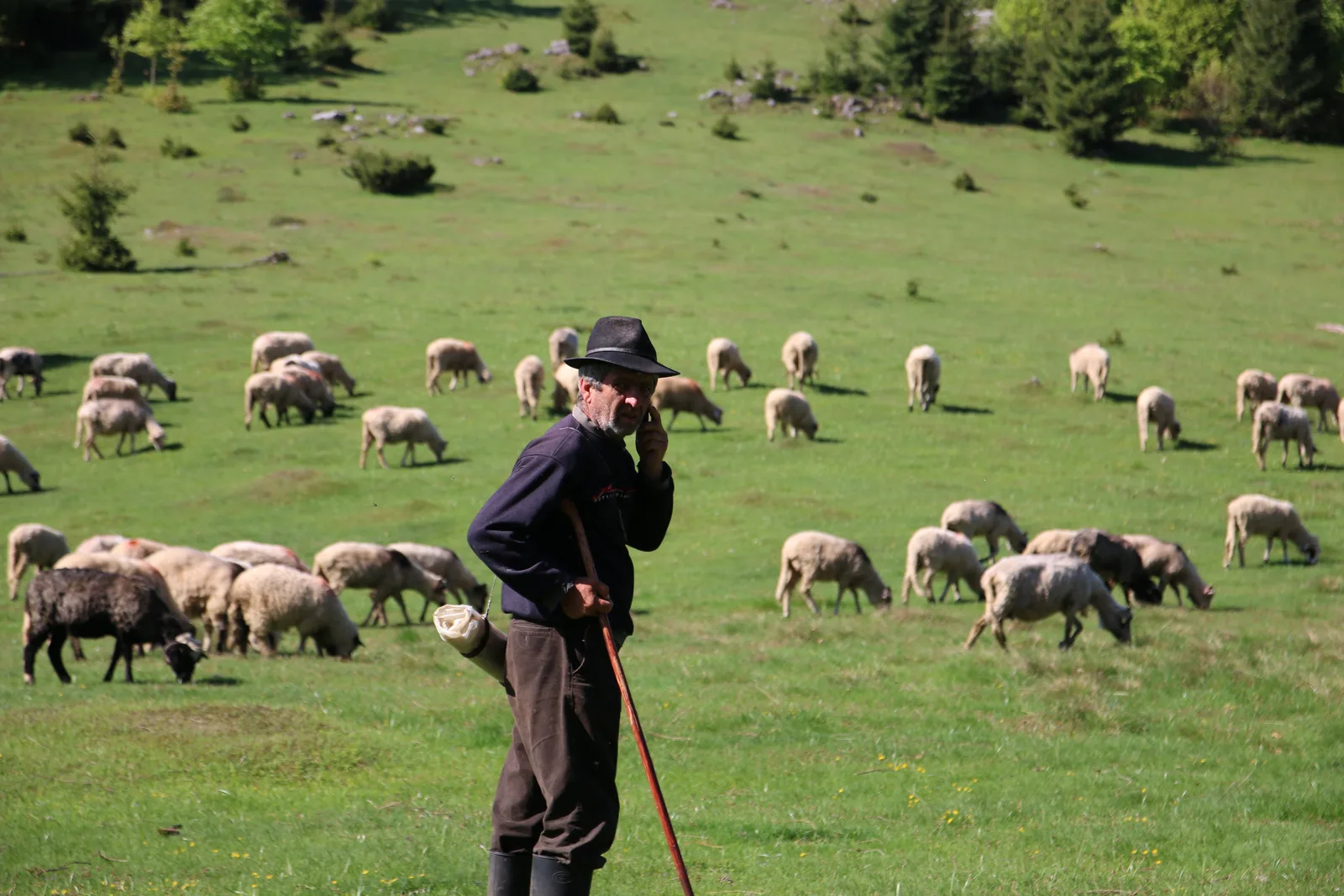 Randonnées dans les monts Apuseni