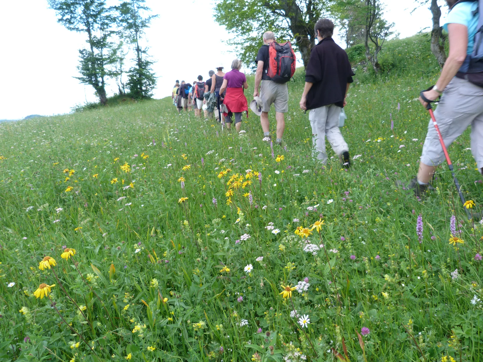 Randonnées dans les monts Apuseni