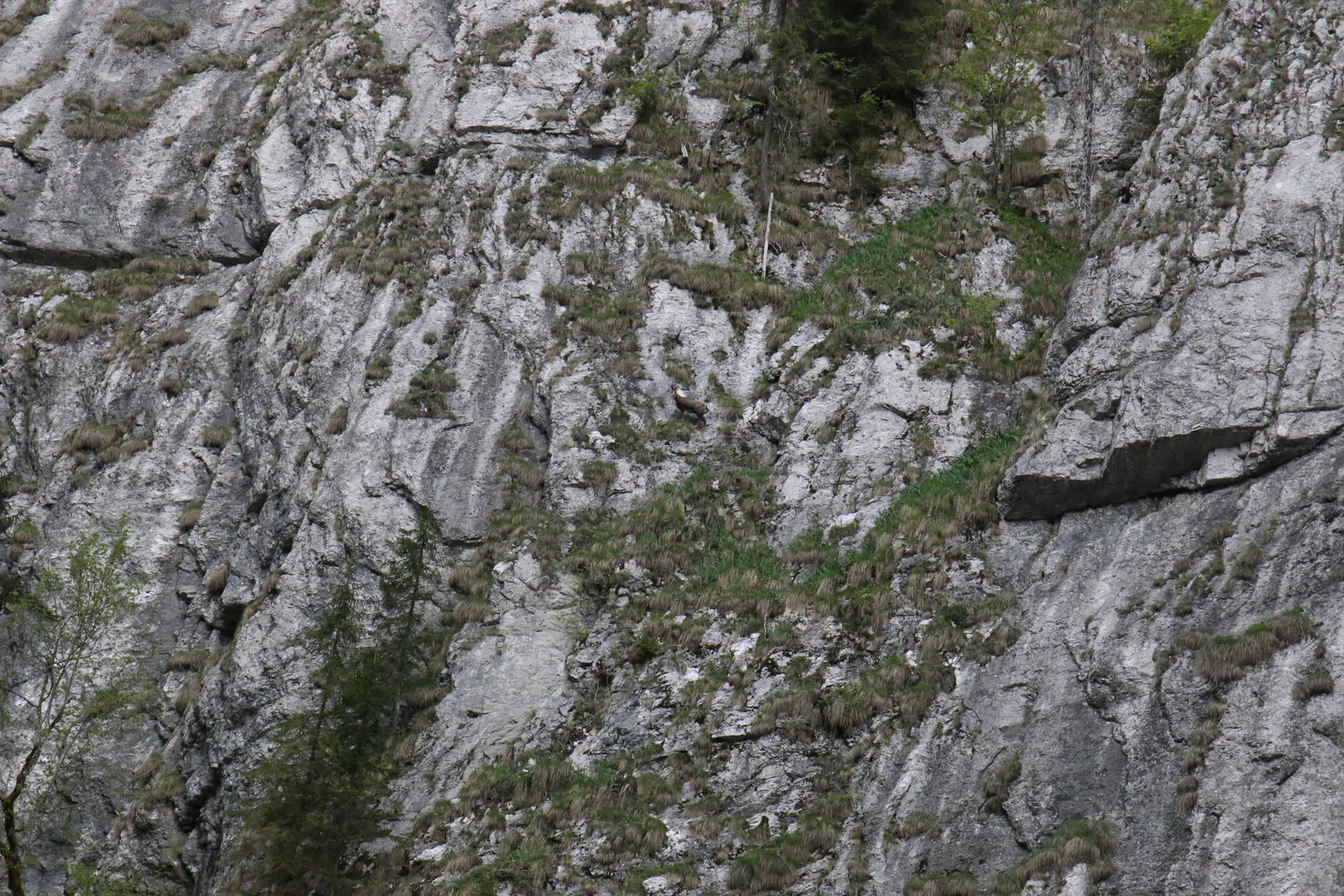 Randonnées dans les monts Apuseni