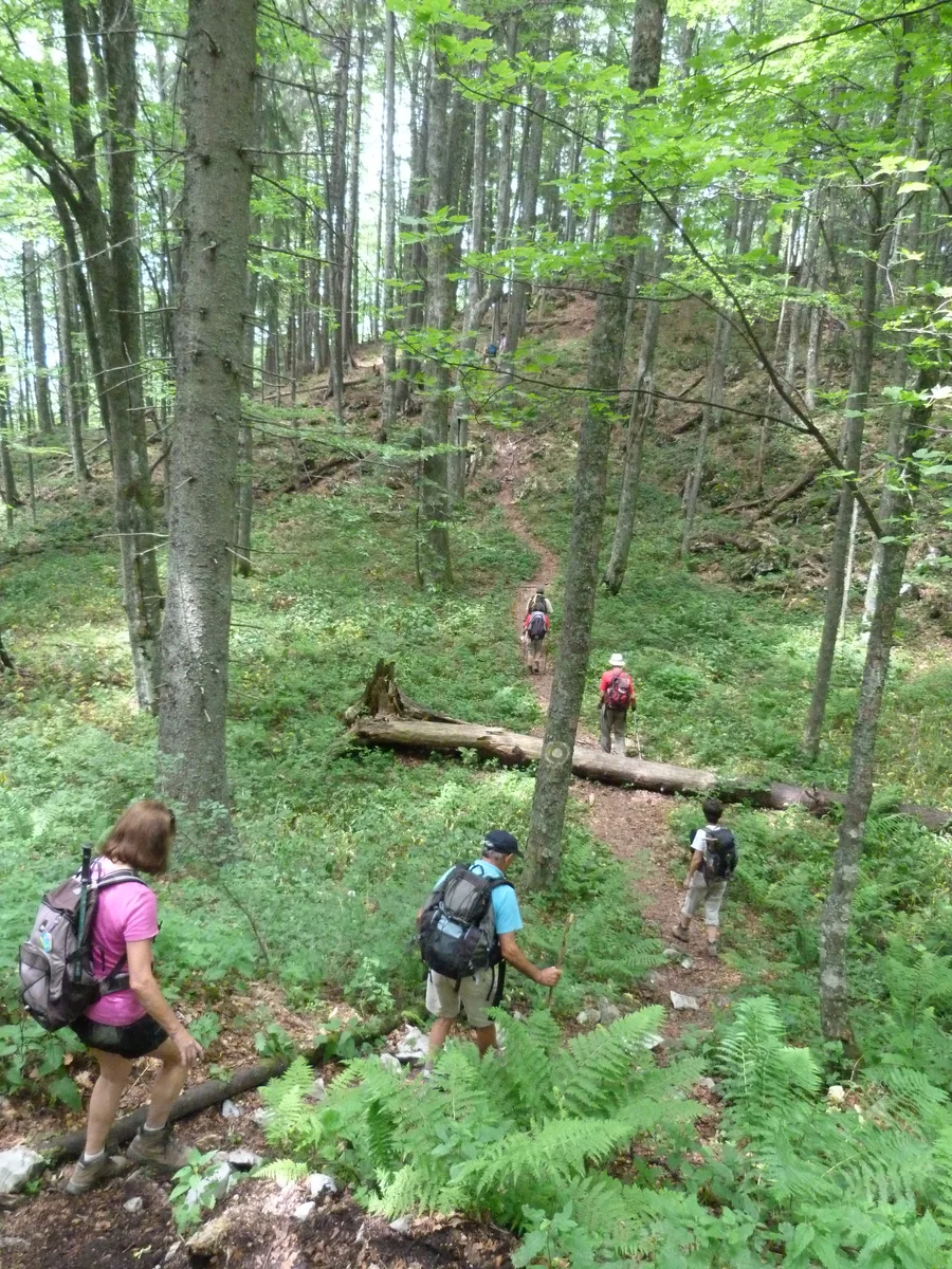 Randonnées dans les monts Apuseni