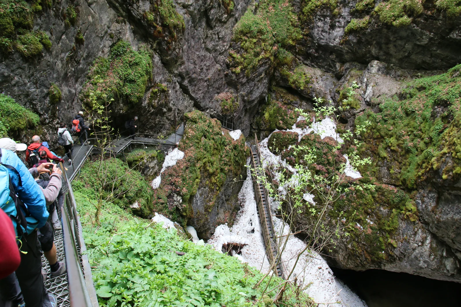 Randonnées dans les monts Apuseni