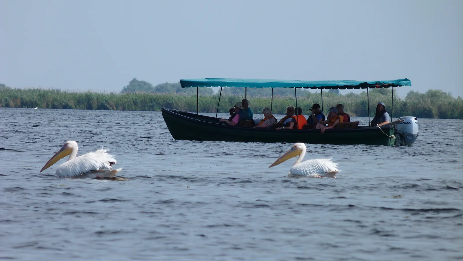 Delta du Danube et littoral de la Mer Noire