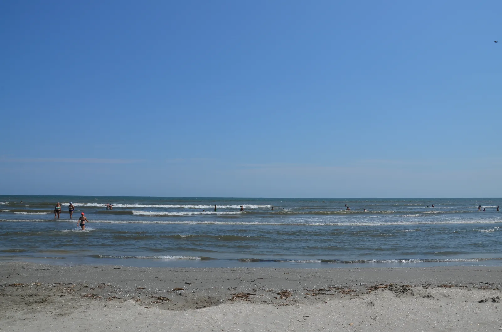 Delta du Danube et littoral de la Mer Noire