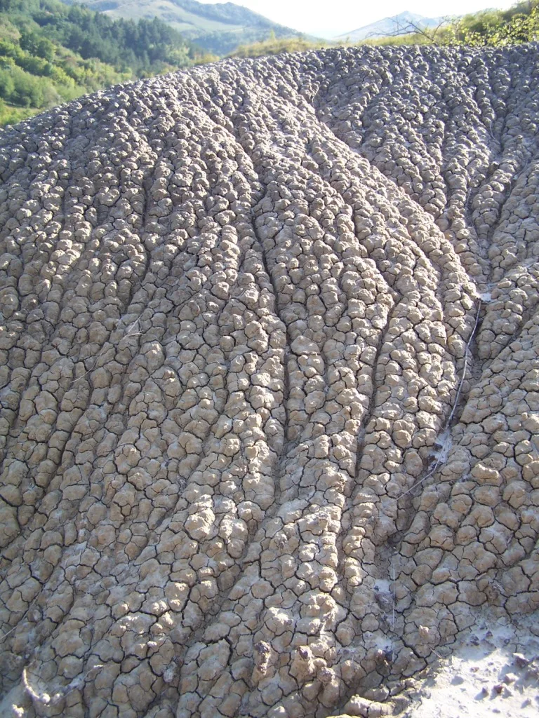 Delta du Danube et littoral de la Mer Noire