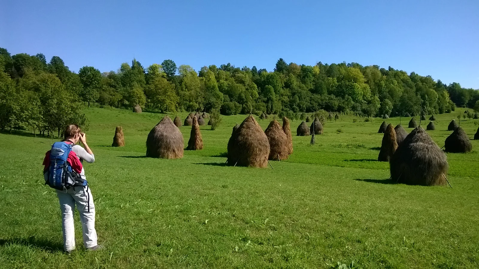 Sentiers de Maramureș et de Bucovine