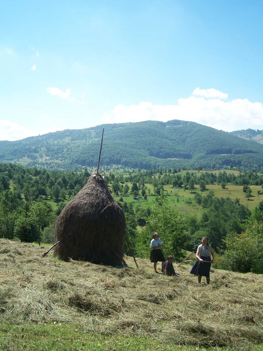 Sentiers de Maramureș et de Bucovine