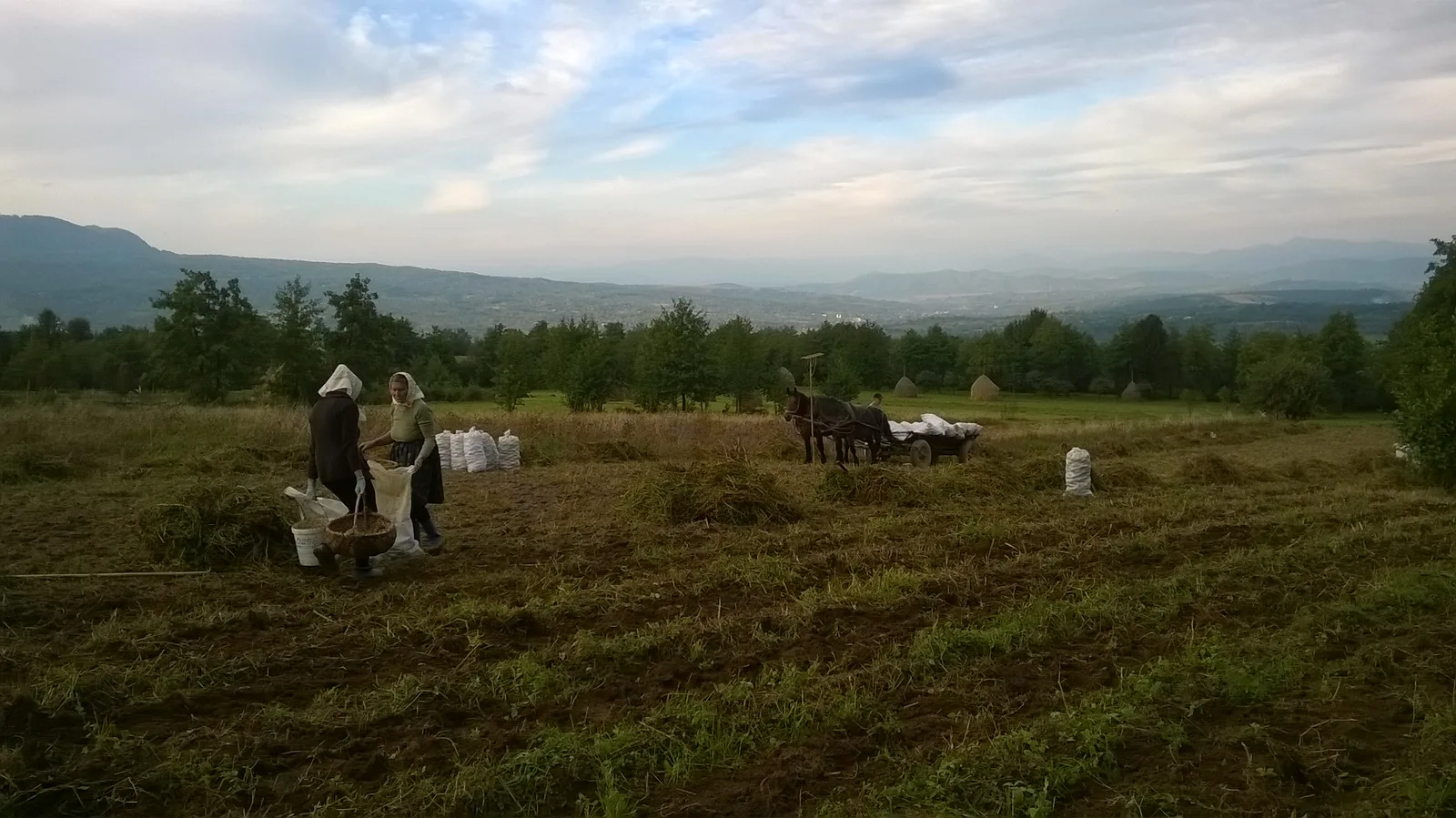 Sentiers de Maramureș et de Bucovine