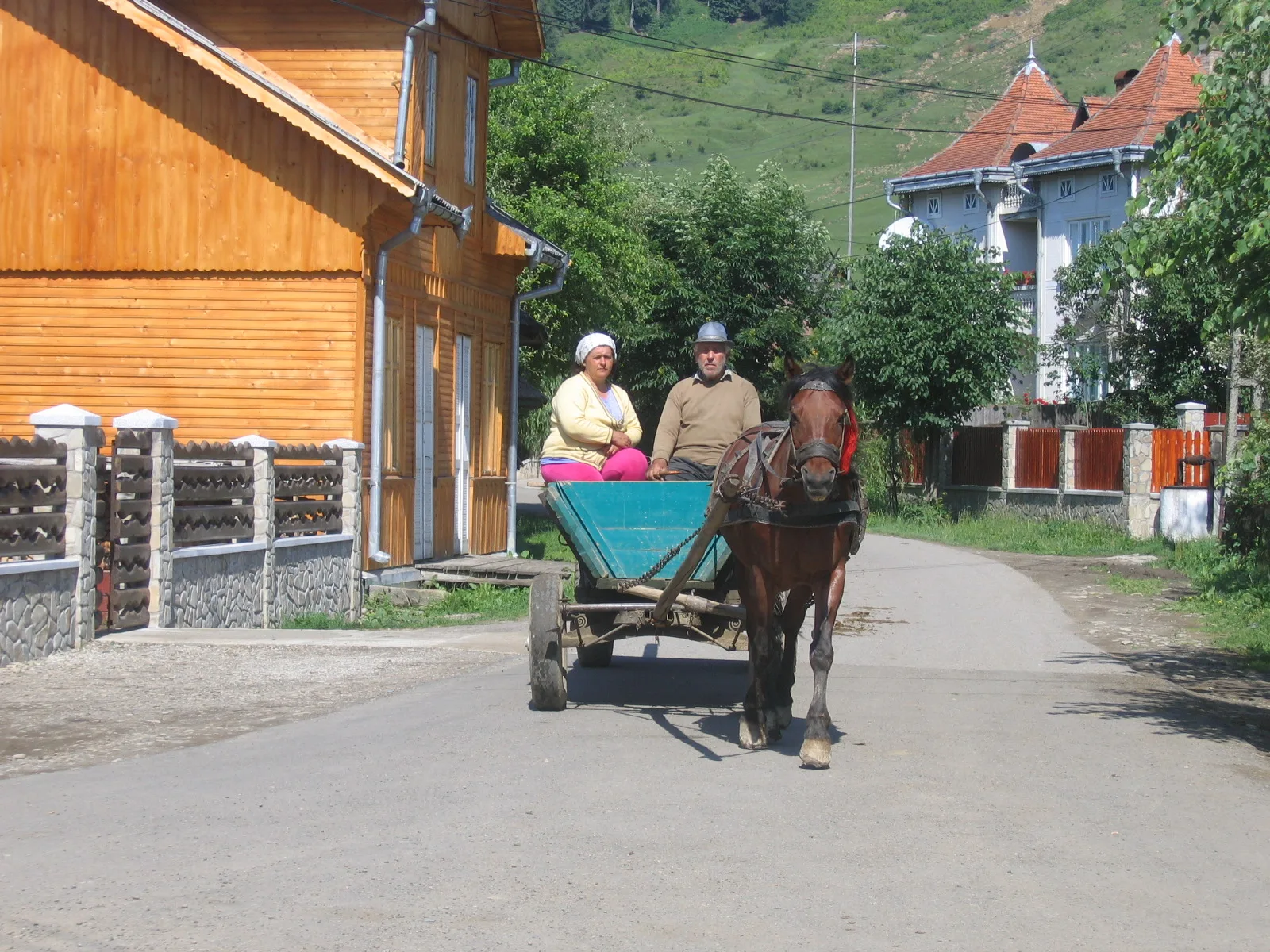 Sentiers de Maramureș et de Bucovine