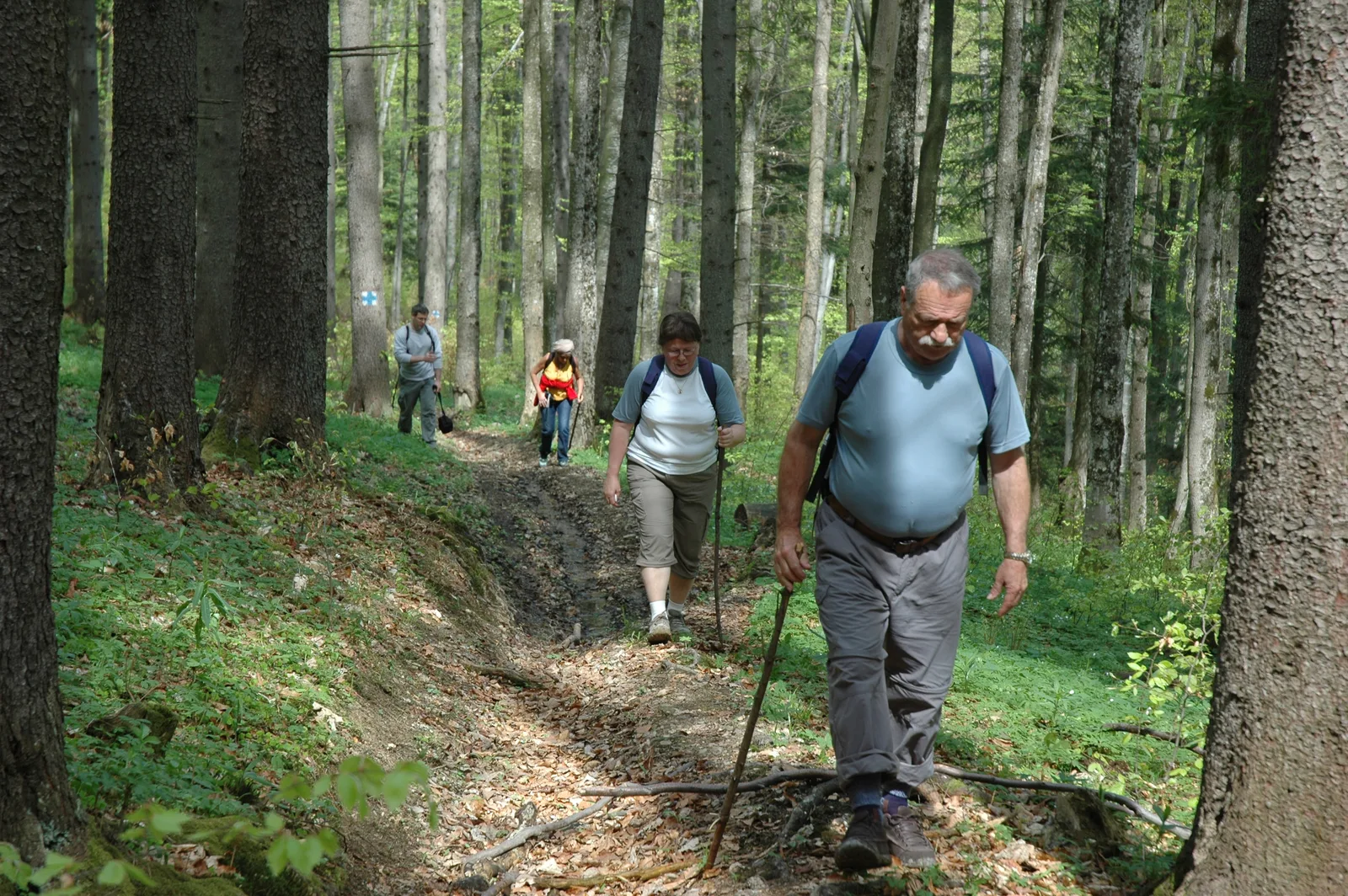 Sentiers de Maramureș et de Bucovine