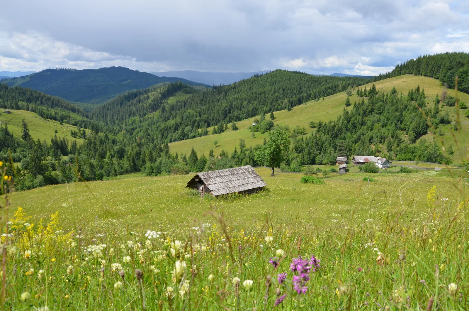 Sentiers de Maramureș et de Bucovine