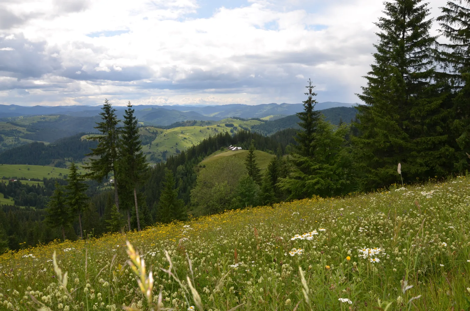 Sentiers de Maramureș et de Bucovine
