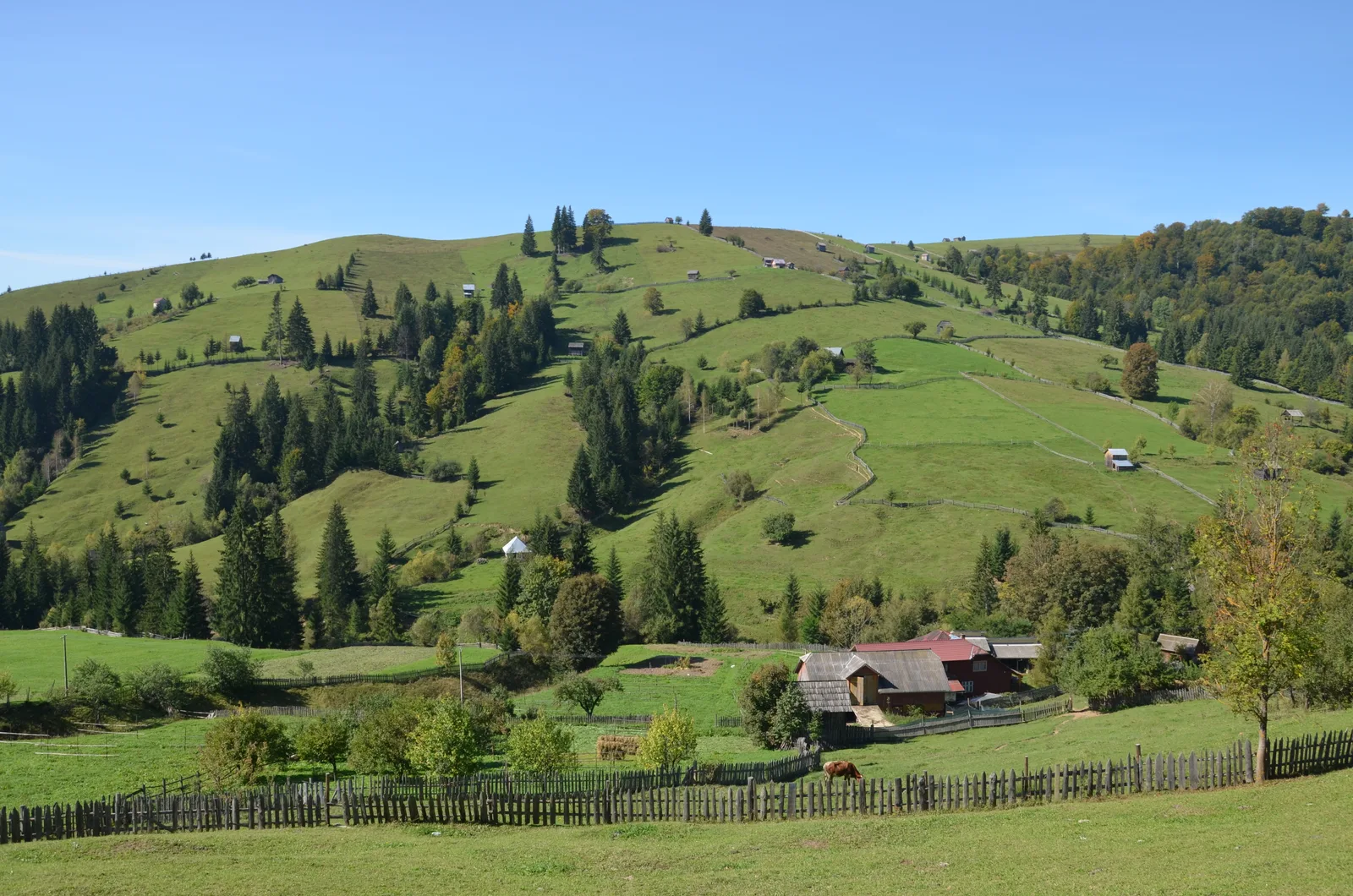 Sentiers de Maramureș et de Bucovine