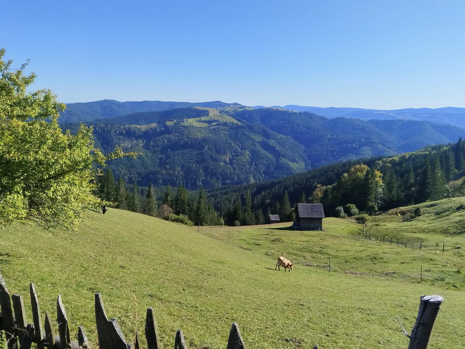 Sentiers de Maramureș et de Bucovine