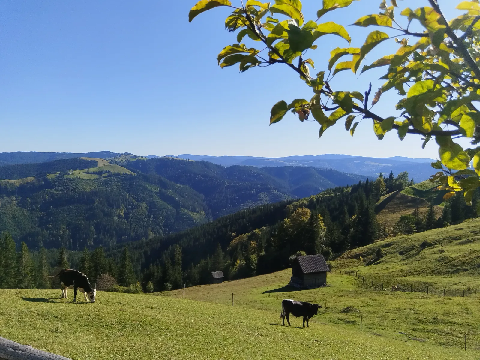 Sentiers de Maramureș et de Bucovine