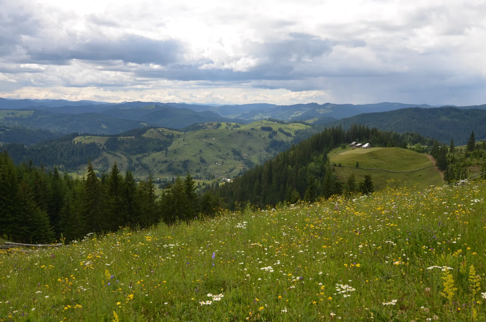 Sentiers de Maramureș et de Bucovine