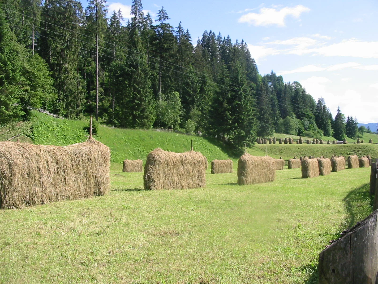 Sentiers de Maramureș et de Bucovine