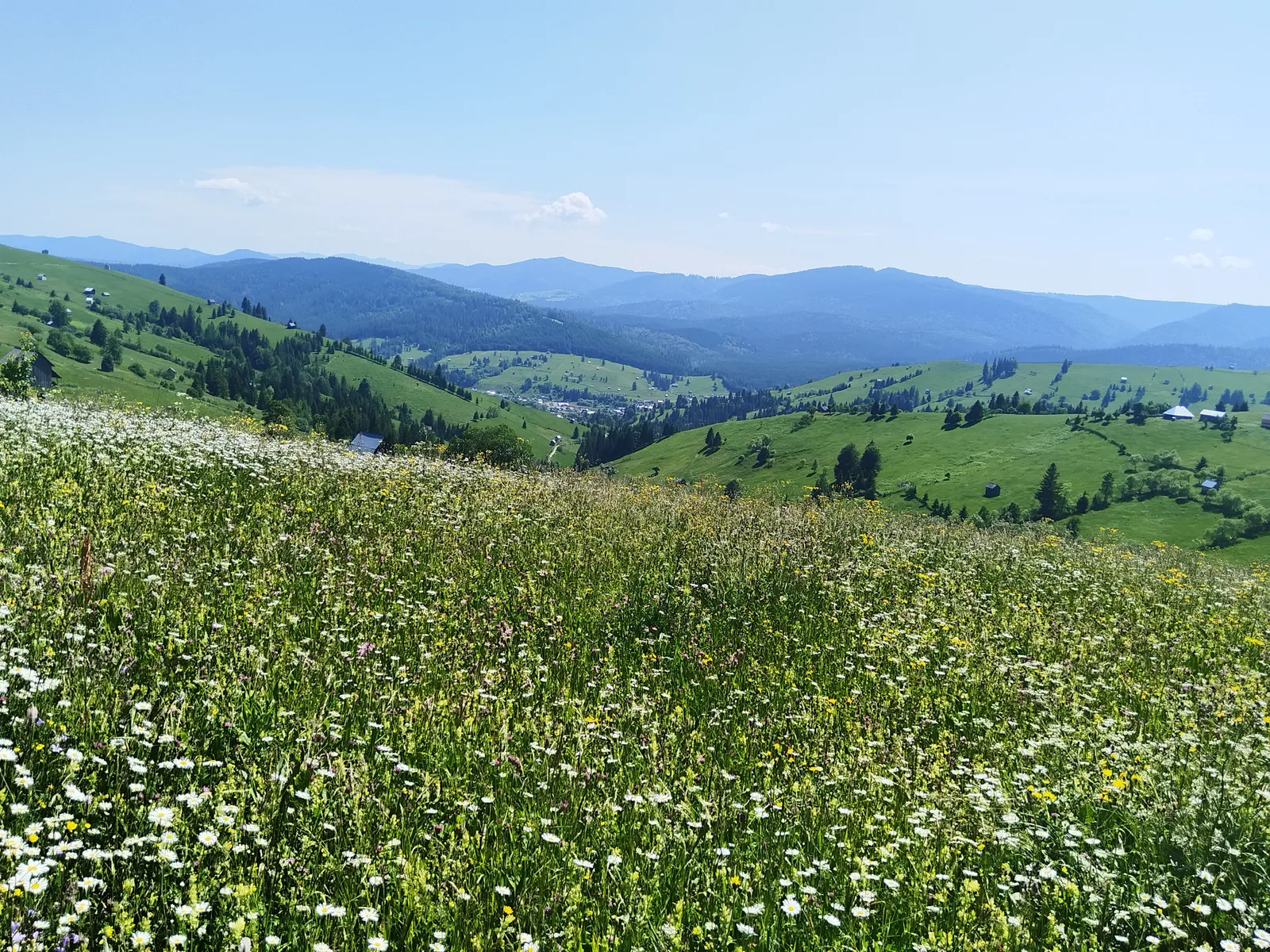 Sentiers de Maramureș et de Bucovine