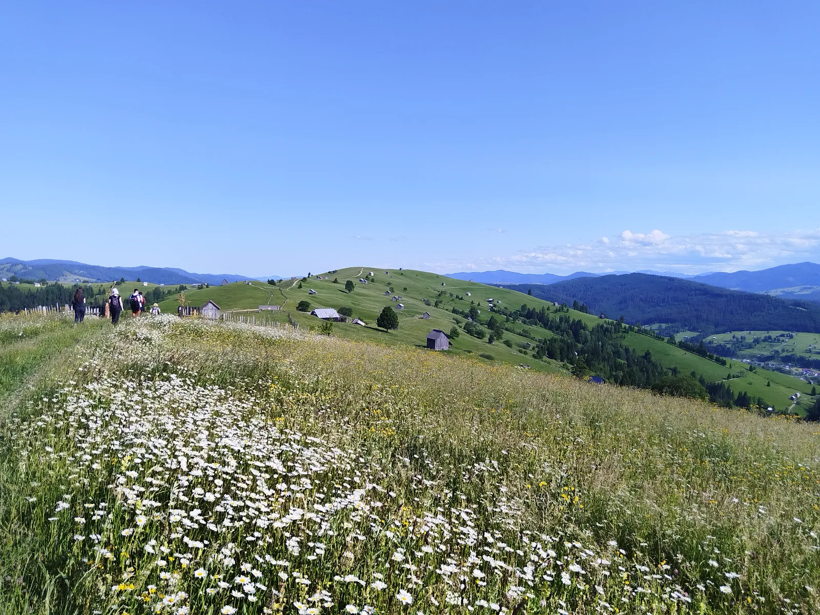 Sentiers de Maramureș et de Bucovine