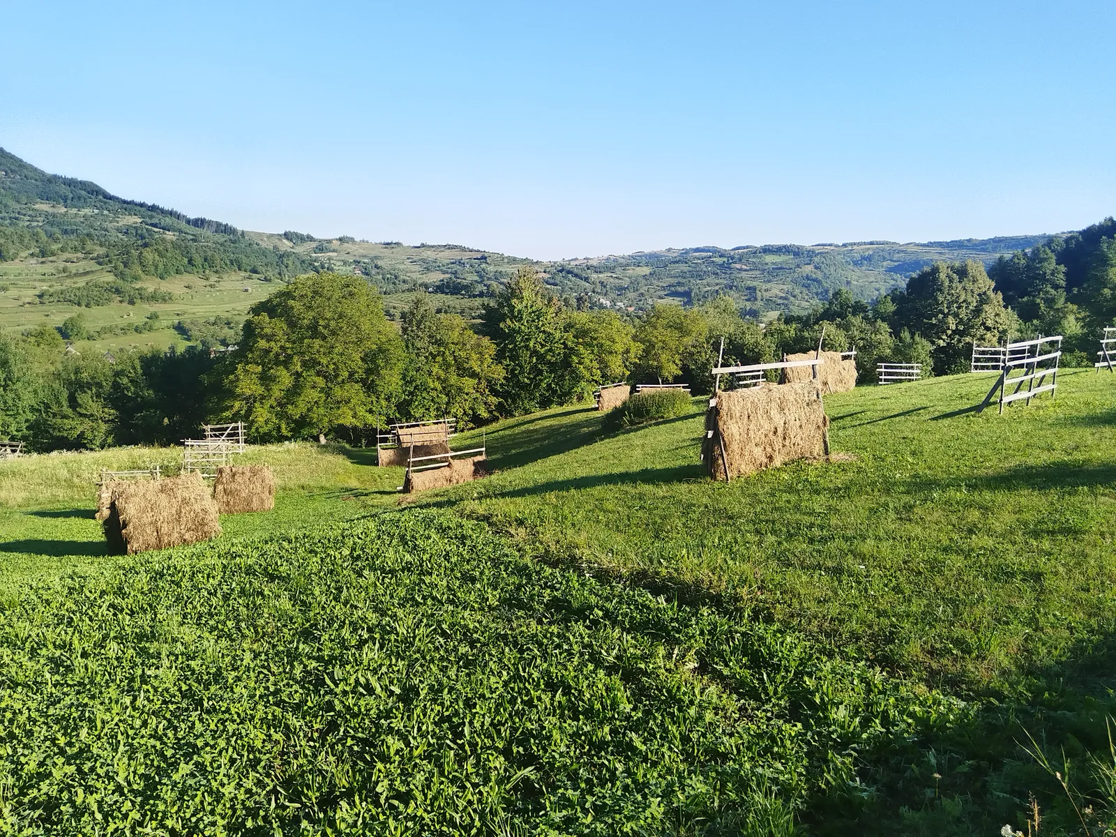 Roumanie du Nord : Maramureș & Bucovine