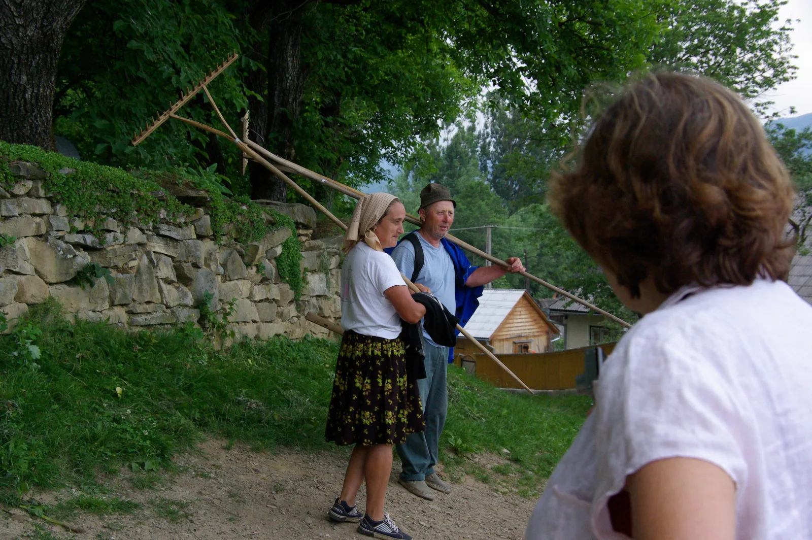 Roumanie du Nord : Maramureș & Bucovine