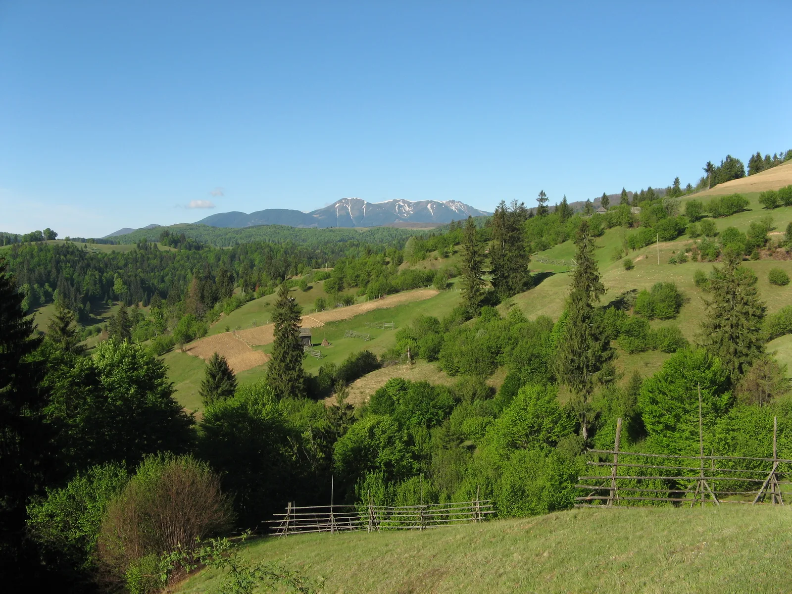 Roumanie du Nord : Maramureș & Bucovine