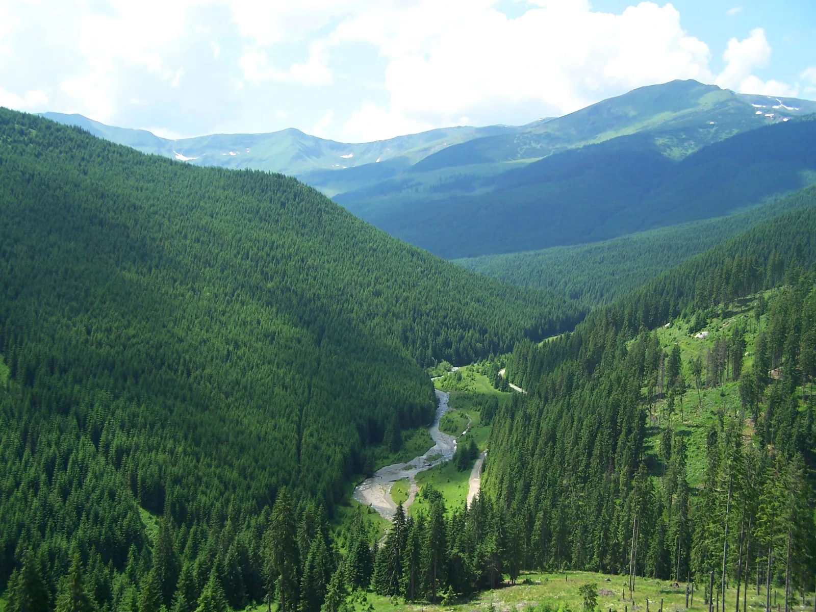 Roumanie du Nord : Maramureș & Bucovine