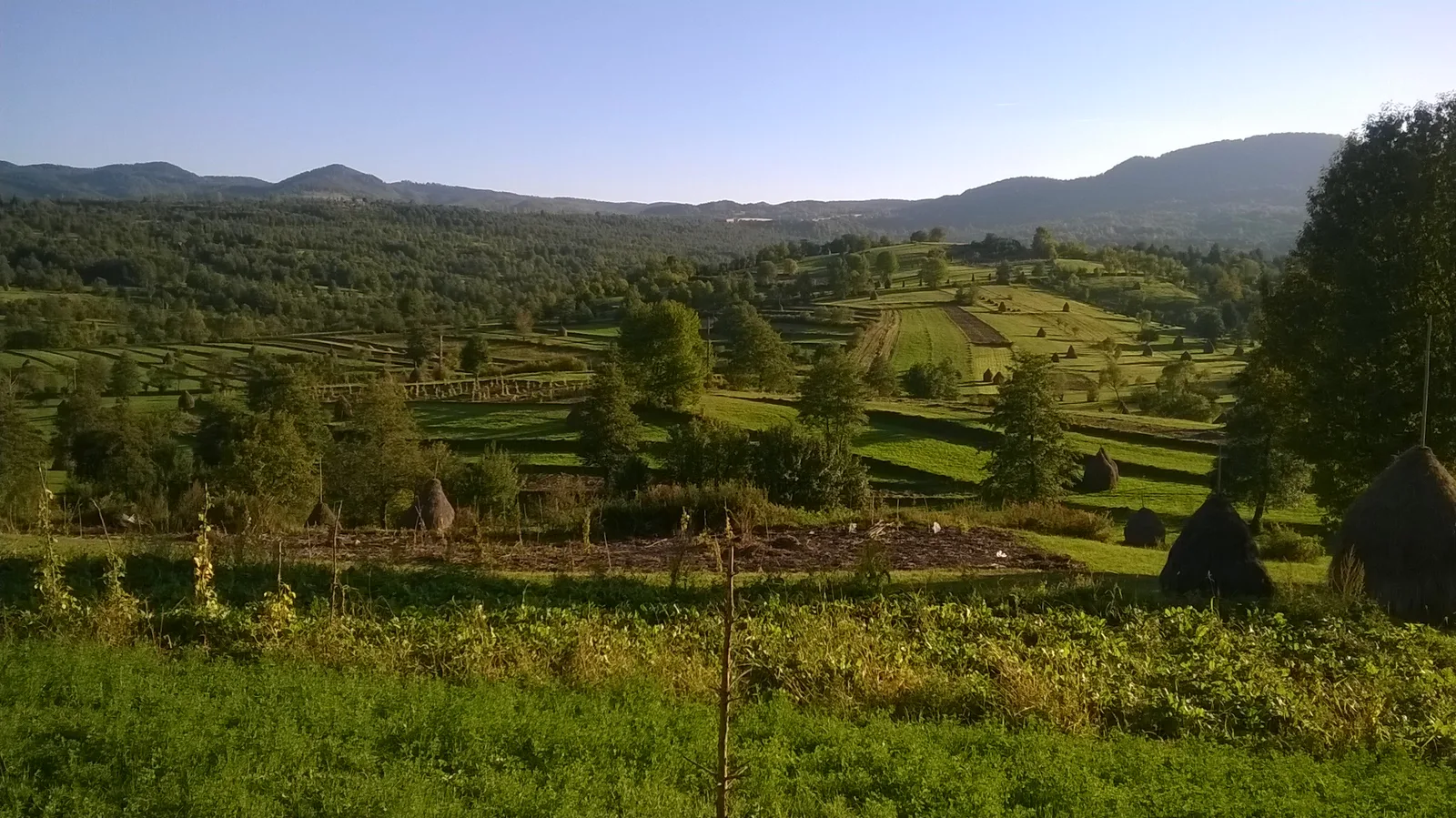 Roumanie du Nord : Maramureș & Bucovine