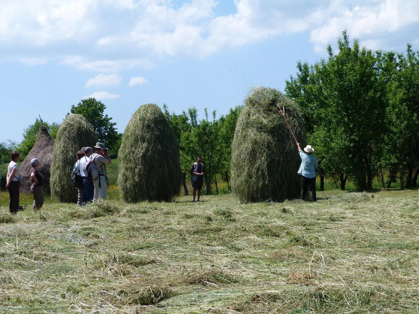 Roumanie du Nord : Maramureș & Bucovine