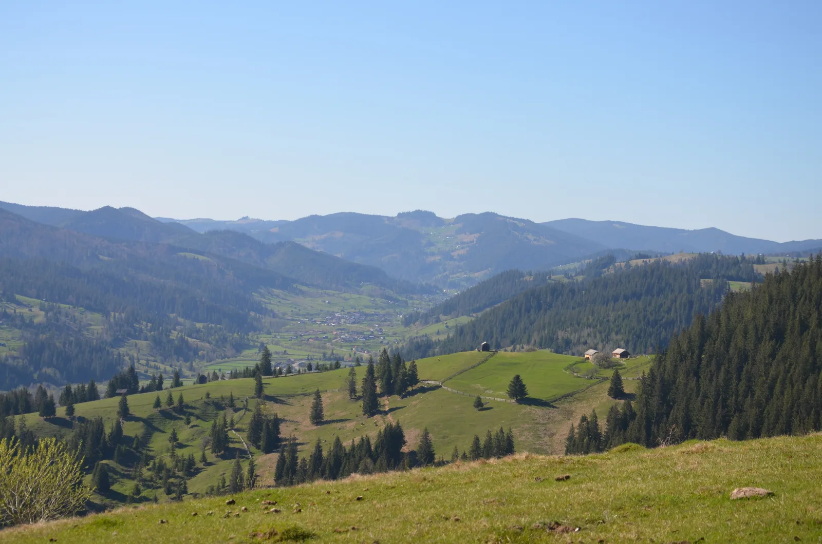 Roumanie du Nord : Maramureș & Bucovine