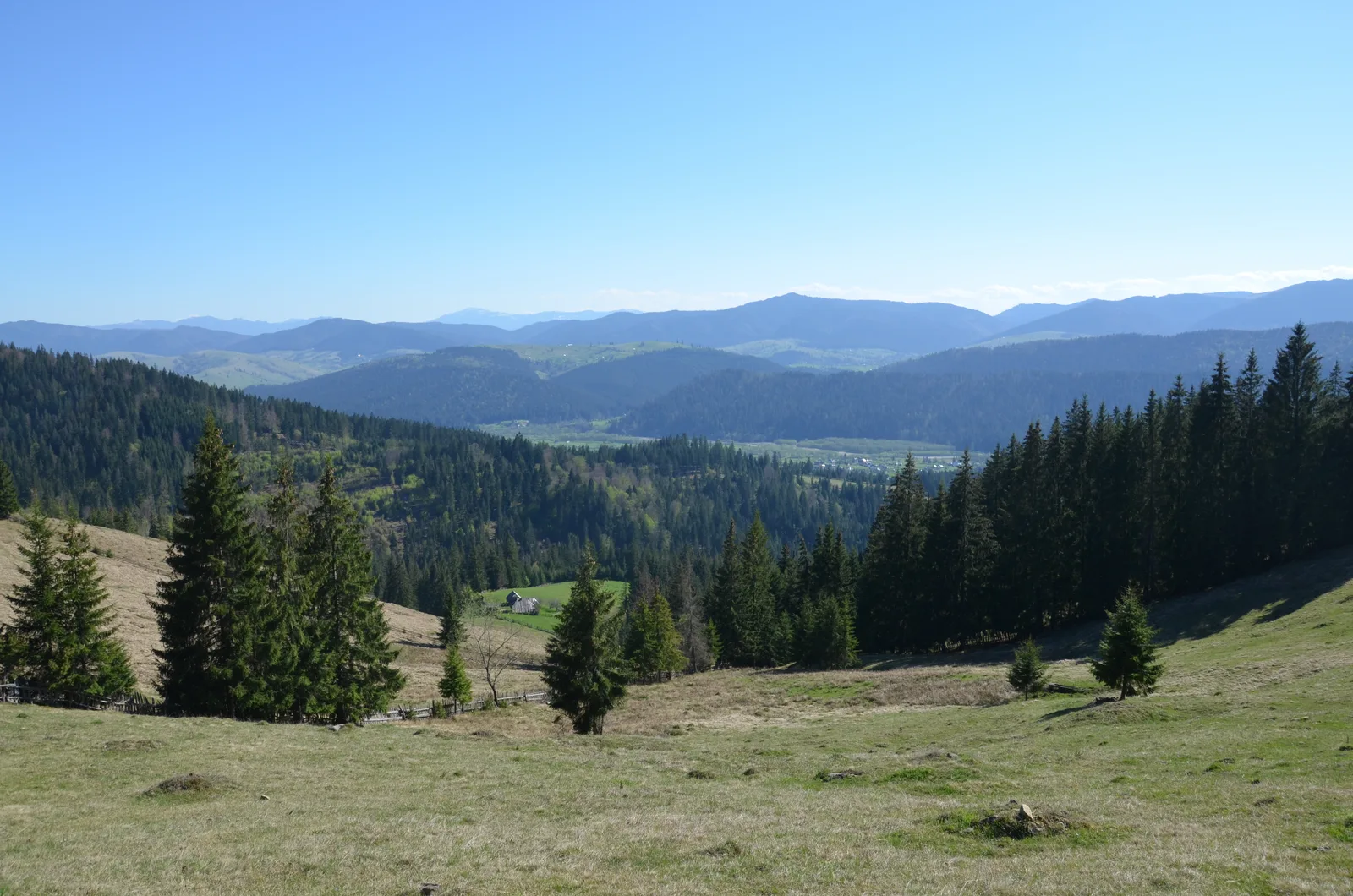 Roumanie du Nord : Maramureș & Bucovine