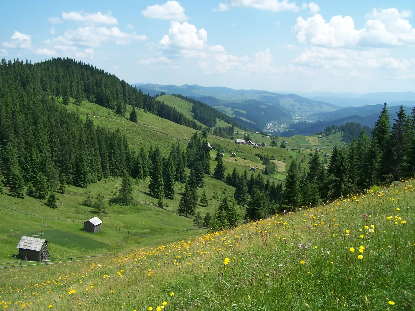 Roumanie du Nord : Maramureș & Bucovine