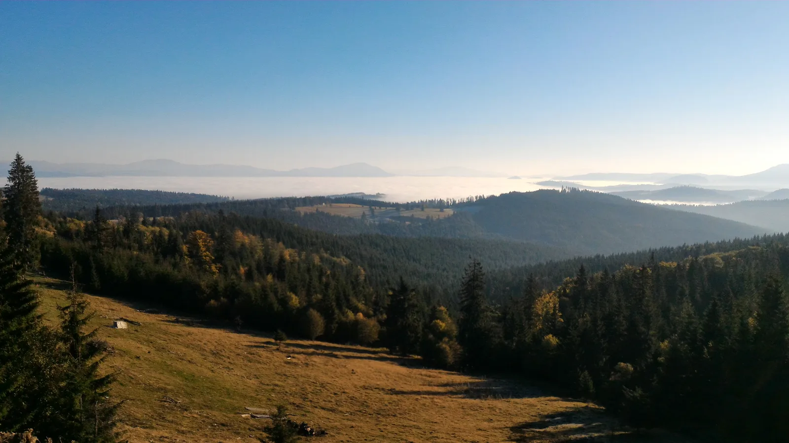 Roumanie du Nord : Maramureș & Bucovine