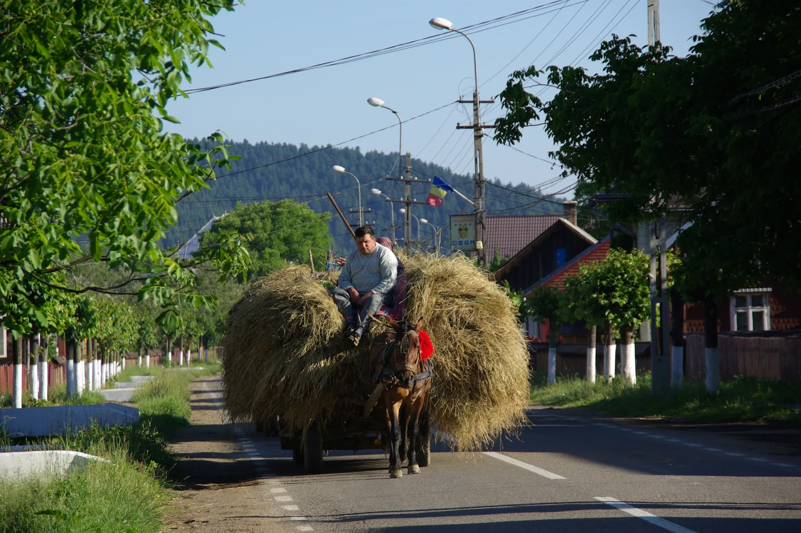 Entre République de Moldavie et Bucovine