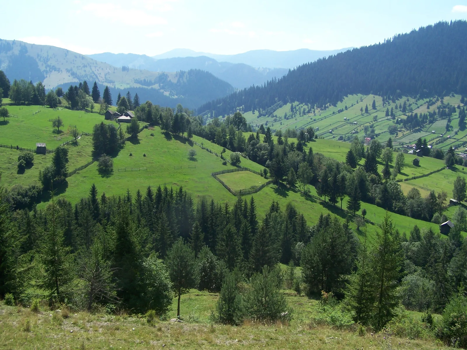 Entre République de Moldavie et Bucovine