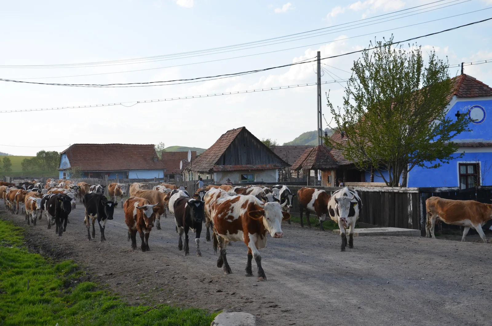 Transylvanie du Sud, Roumanie et civilisation saxonne