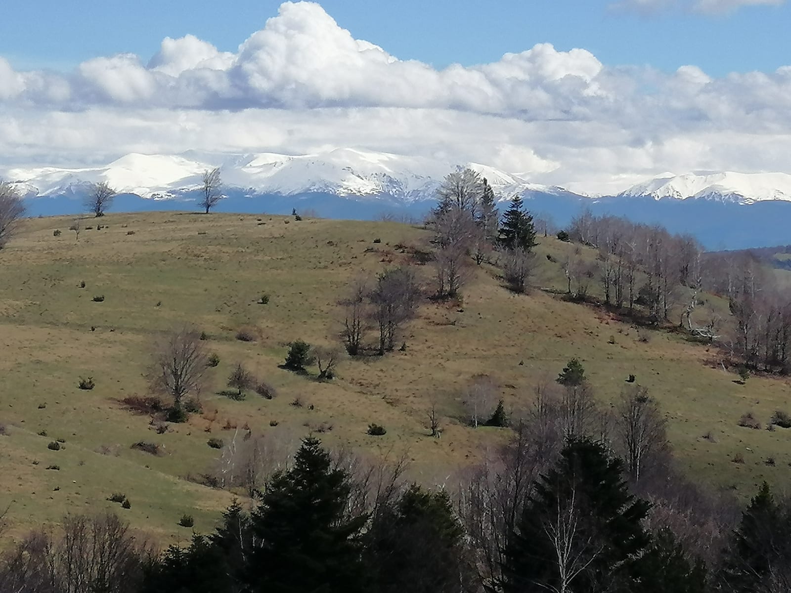 Transylvanie du Sud, Roumanie et civilisation saxonne