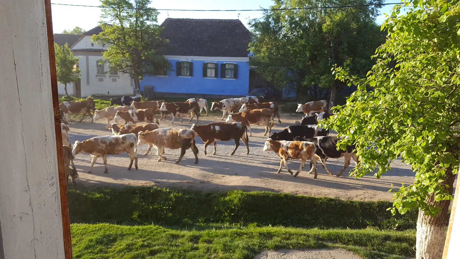 Transylvanie du Sud, Roumanie et civilisation saxonne