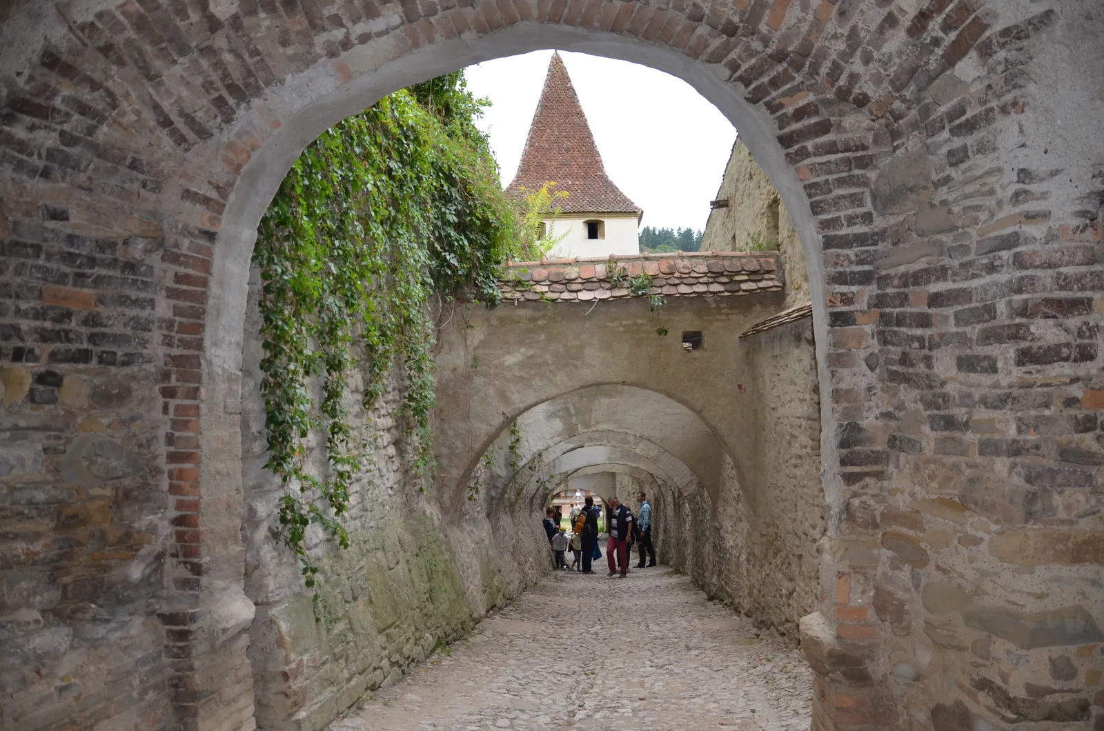 Transylvanie du Sud, Roumanie et civilisation saxonne
