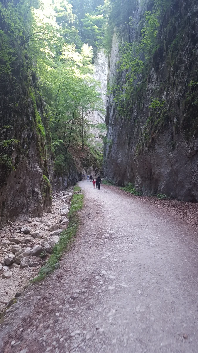 Transylvanie du Sud, Roumanie et civilisation saxonne
