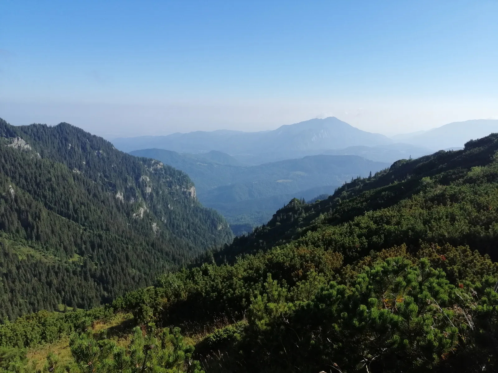 Randonnées en Transylvanie — 12 jours