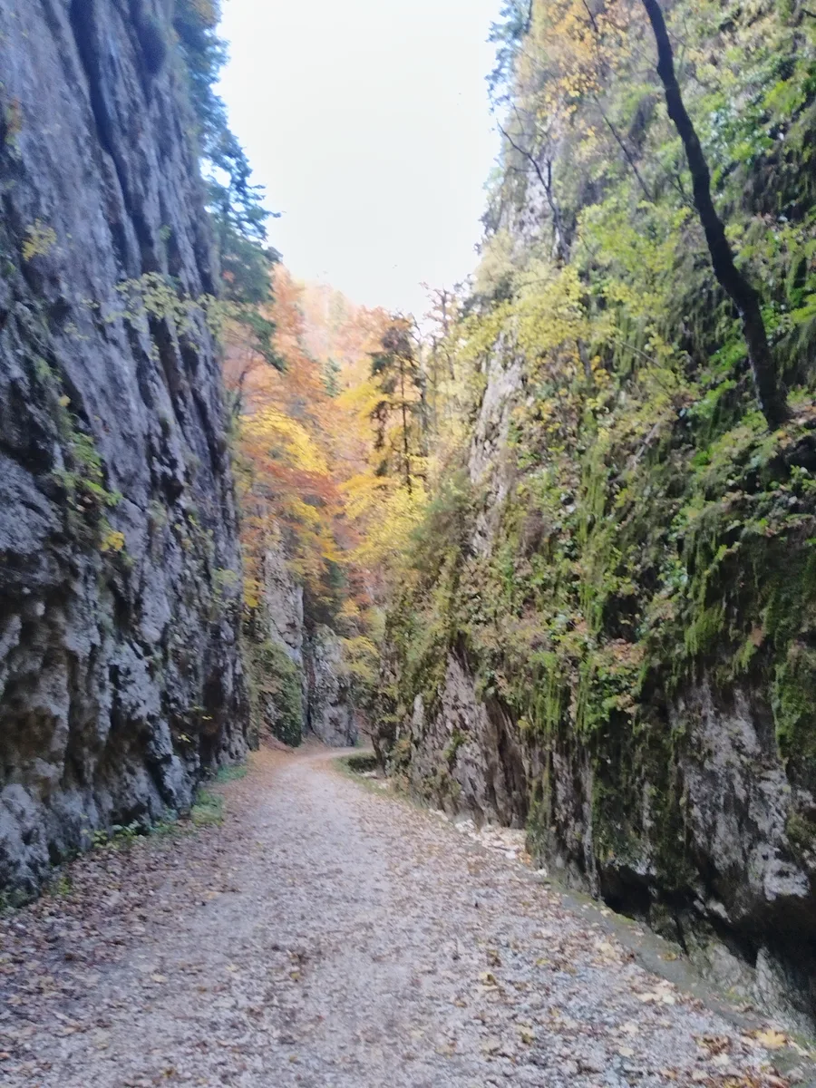 Randonnées en Transylvanie — 12 jours
