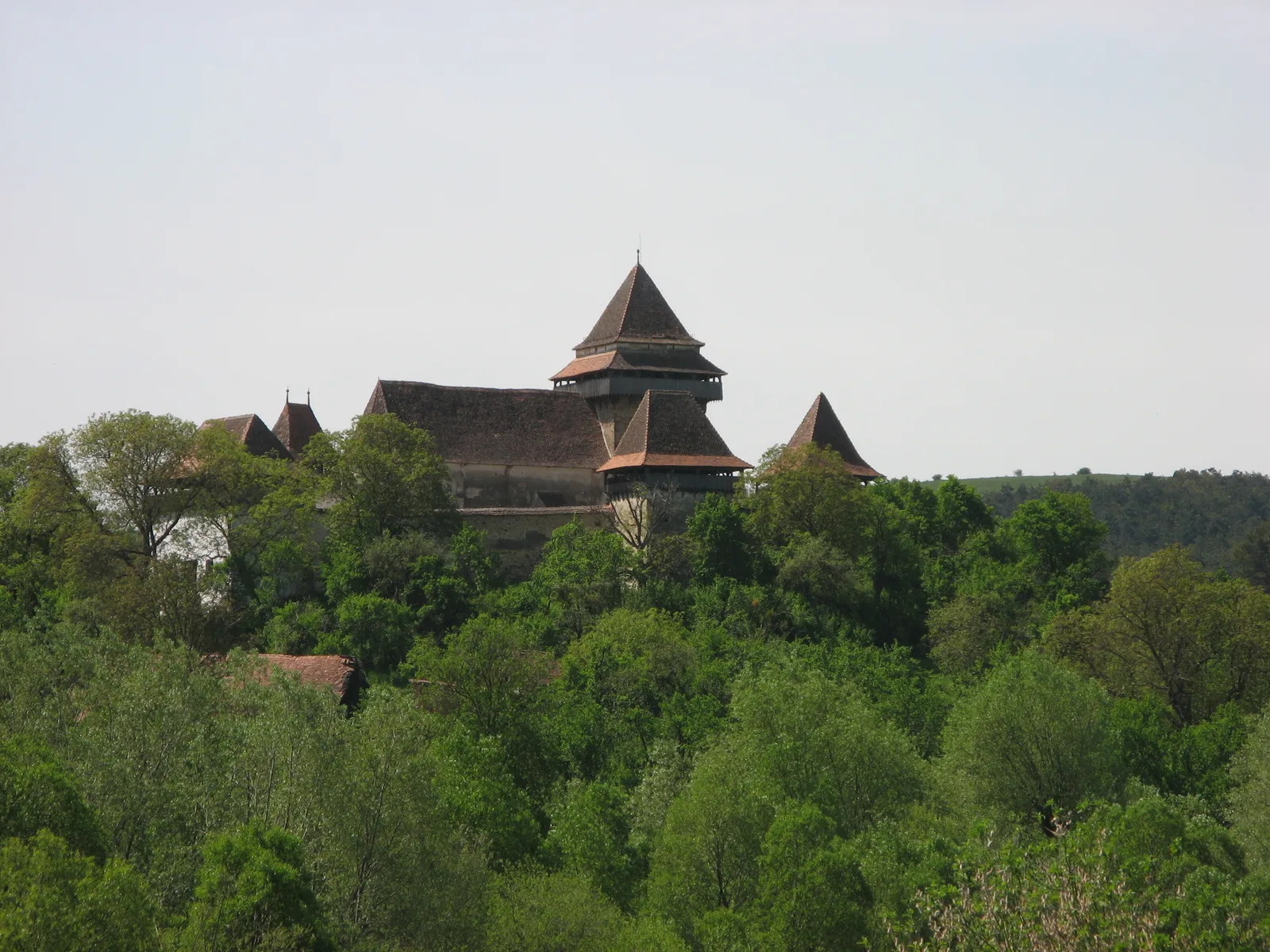 Randonnées en Transylvanie — 12 jours
