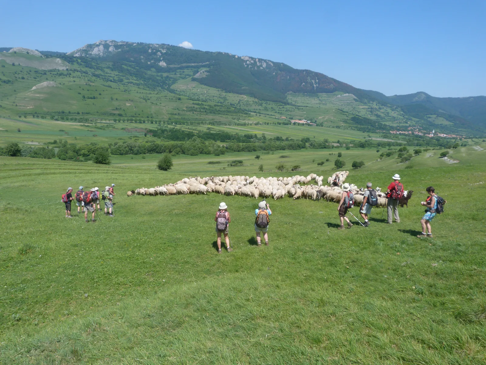 Randonnées en Transylvanie — 12 jours